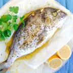Sea Bream